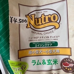 犬のご飯の画像