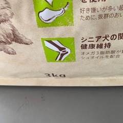 犬のご飯の画像