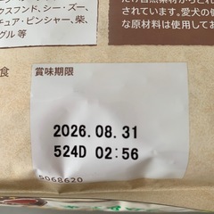 犬のご飯の画像