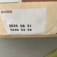 犬のご飯の画像