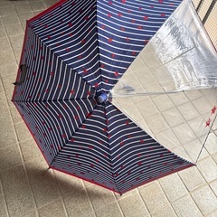 男の子用　幼児傘の画像