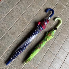 男の子用　幼児傘の画像