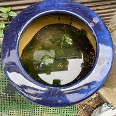 【お取引中】火鉢の画像