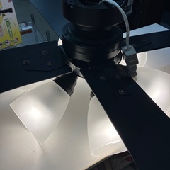 O 2510-734 「ラスボルタ6灯」　シーリングファンライト　点灯確認済み　リモコン無し　キズ汚れ有りの画像