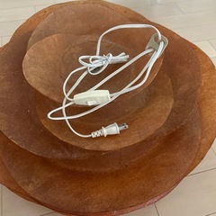 デザイン証明の画像