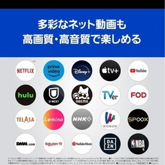 VIERA TH-42LZ1000 店頭展示品の画像