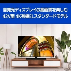 VIERA TH-42LZ1000 店頭展示品の画像