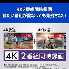 VIERA TH-42LZ1000 店頭展示品の画像