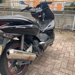 PCX125の画像