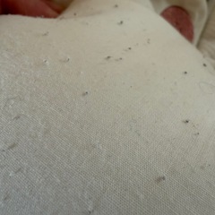 コンビ　ネムリラ(オートスウィング)エッグショックの画像