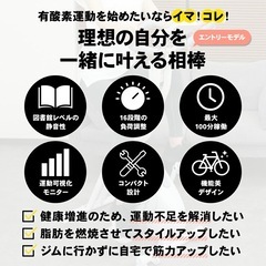 STEADY ST102 ホワイトの画像