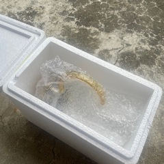 ウォーターボトルの画像