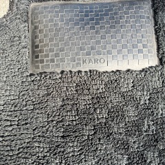 日産　ラフェスタB30  KARO   マットの画像