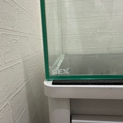 GEX 60cmガラス水槽 60×36×30 基本引き取りの画像