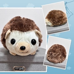 
ピッグサイズぬいぐるみいろいろの画像