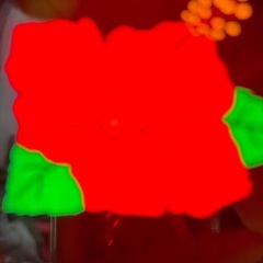 ハナハナ天翔
の画像