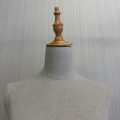 トルソー
の画像