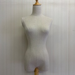 トルソー
の画像