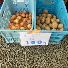 フリーマーケット開催中!!