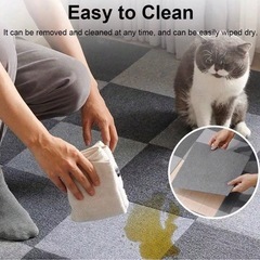 カーペットの画像