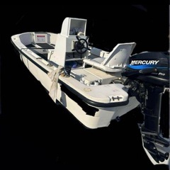 ホープボート　FF-333LW  シープロ15馬力　ステアリング仕様の画像