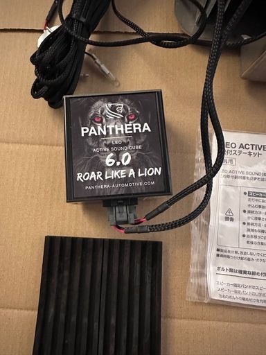 PANTHERA LEO BASS アクティブサウンドジェネレーター