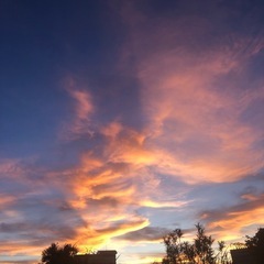 🌹雑談グループ