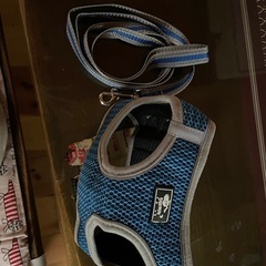 Lil&Fam 犬 ハーネス 胴輪 リードセットMの画像