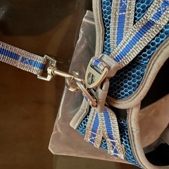 Lil&Fam 犬 ハーネス 胴輪 リードセットMの画像