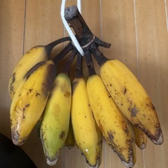 お話し中の画像