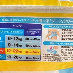 グーン　ビッグサイズ46枚の画像