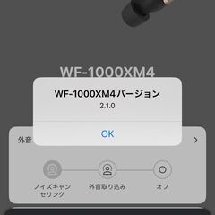SONY WF-1000XM4 ワイヤレスイヤホン 左耳(L)のみ！の画像