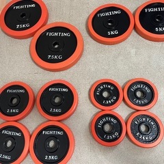 ファイティングロードダンベル20kg×2とプレート40kgの画像
