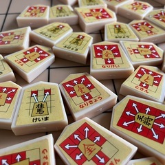 かんたん！学べる！！はじめて将棋の画像