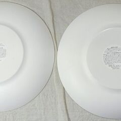 ☆カインズ 軽スタ 樹脂食器 丸皿 大 ２枚セット【未使用】の画像