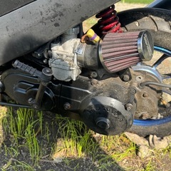  原付 
ホンダ Dio の画像