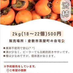渋柿　2kgの画像