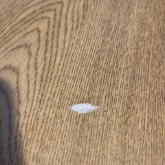 [受け付け中断中]コタツ　テーブルコタツ椅子二脚セットの画像