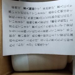 萩焼   湯呑みの画像