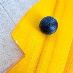 ボーネルンド おさかなシロフォン 木琴　バチ２本付き 知育玩具の画像