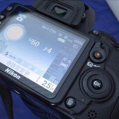 Nikon D-3100 ニコン純正標準レンズ付き、バッテリー、充電器、メモリーカード、肩掛けストラップなど付属品完備の画像