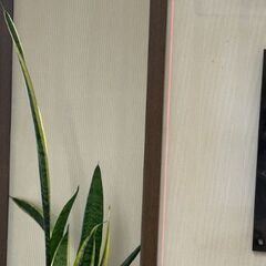 TAJIMA　レーザー墨出し器　の画像