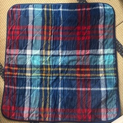 こたつ中敷き　正方形
の画像