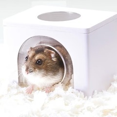 GEXジェックス Harmony ハーモニーハウス 天面窓付き ハムスター・小動物用 S
の画像