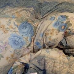 使用少[ダウン93%]羽毛布団 日本寝具寝装品協会規格品の画像