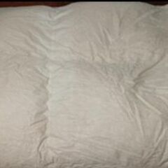 使用少[ダウン93%]羽毛布団 日本寝具寝装品協会規格品の画像