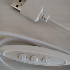 LA LED ネオンサイン ネオンライト USB接続 ドジャースの画像