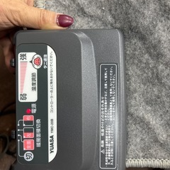 ユアサ　ホットカーペット　2畳用　の画像