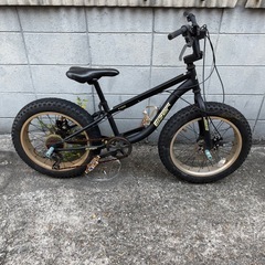 EIZER アイゼル　F120 20インチ　BMX 自転車　ファットバイクの画像