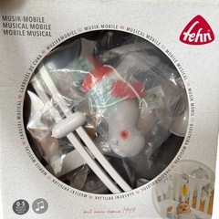 メリー　fehnの画像